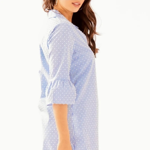 Lilly Pulitzer Ginger Dress Blue Peri Tint Blue White Stripe Swiss Dot 0 - Picture 4 of 15